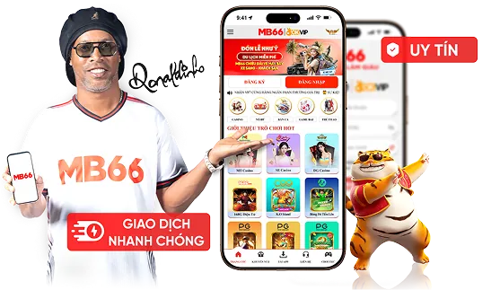 Hiệu suất nhanh chóng và ổn định